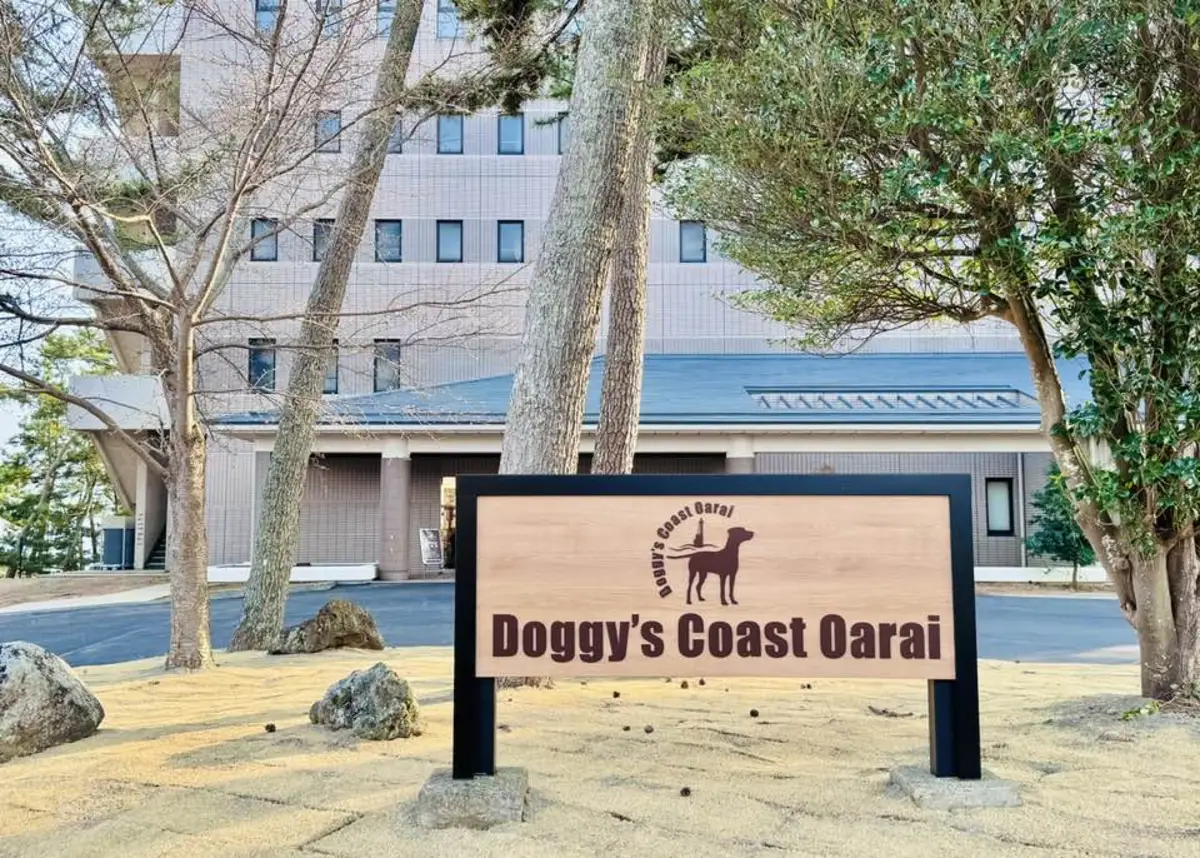 ドギーズコースト大洗